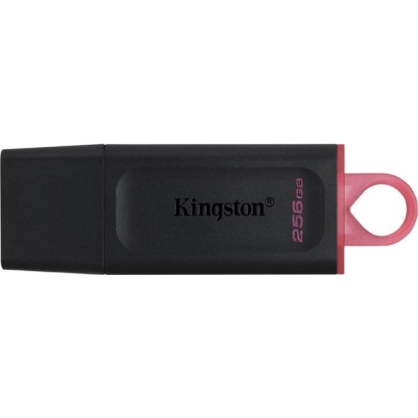Kingston Technology DataTraveler Exodia USB-minne 256 GB USB Typ