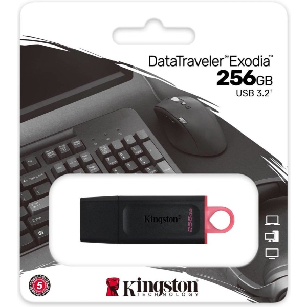 Kingston Technology DataTraveler Exodia USB-minne 256 GB USB Typ