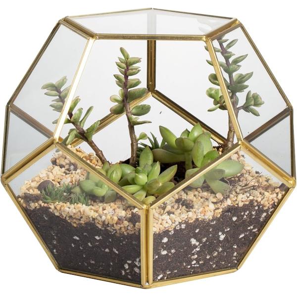 Guld Glas Geometrisk Terrarium, 5.9 tommer Pentagon Regulær Messing