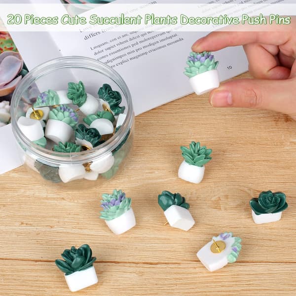 20 Stykke Søde Sukkulente Planter Dekorative Push Pins Farverige Flo