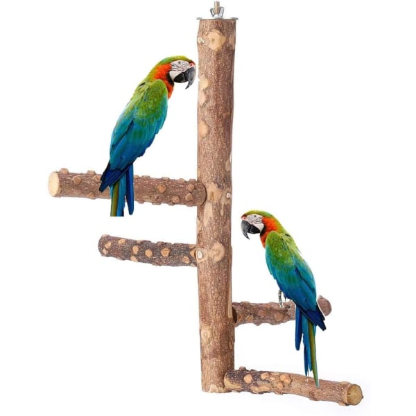 Papegoja fågel naturlig livsmiljö trä aktivitet gren ram biter natu