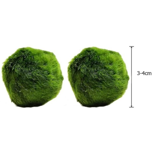 Moss Balls, Always Fresh Live Aquarium Plant 2pcs,green