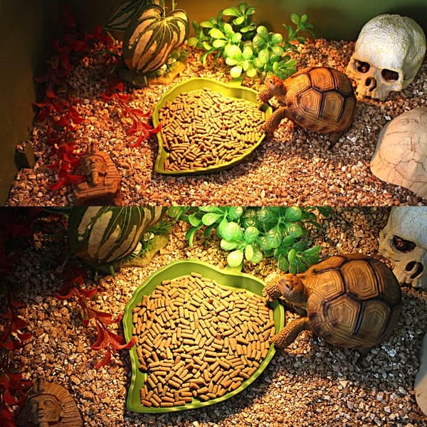 2-pack Reptilmatskål, Sköldpaddstillbehör, Bladformad Reptilskål