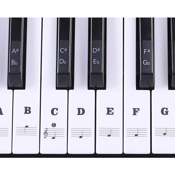 3 Sæt Sort og Hvid 88-tangent 61-tangent 54-tangent Transparent Pia
