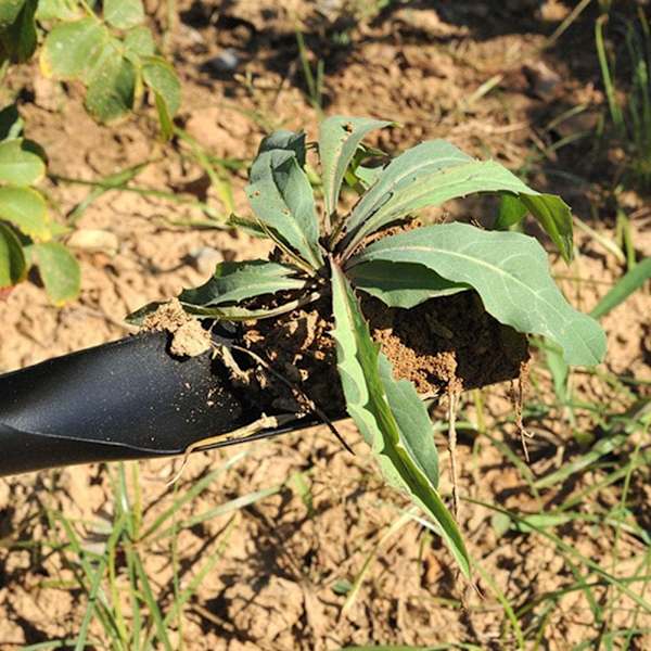 Willow Leaf Hagespade - Willow Leaf Hagespade - Hånd
