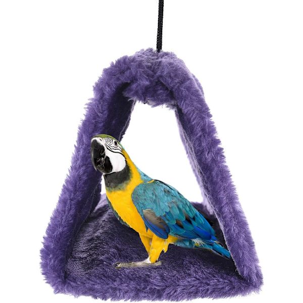 Lila Parrots Boet Fågelbo Vinter Varm Hängmatta Hängande Cav