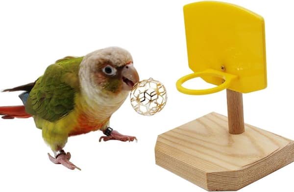 Fugleleker, Fugle Triks Bordleker, Trening Basketbal Staking