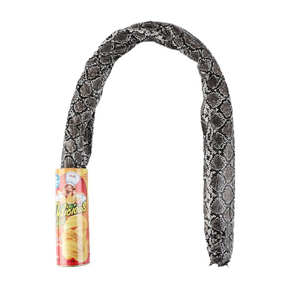 Aprilsnar-gave: Studerende spiller tricks på kartoffelchips-slange