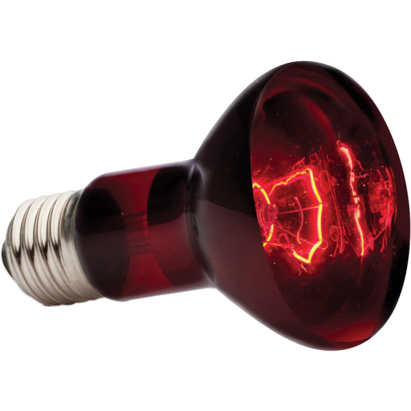 Reptillampe 50W infrarød solbadsplet