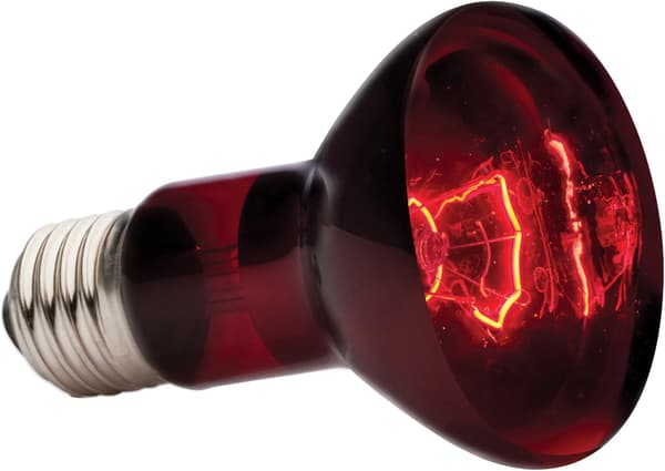 Reptillampe 75W infrarød solingsspot