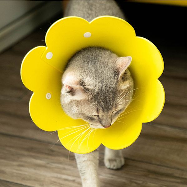 Solrosor Elizabeth Circle Mjuk Djurhuvudset Anti-Slick Katt Huvud