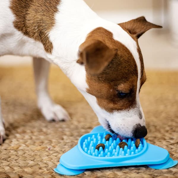 Interaktivt kæledyrslegetøj til mellemstore og små hunde Hundefoderlegetøj Tyggemad B