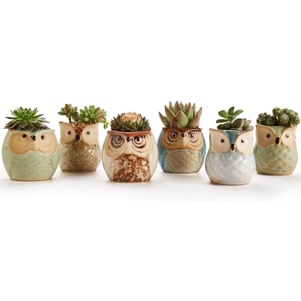 6 stycken 2,5 tum uggla tumkruka suckulent planter stengods Breat