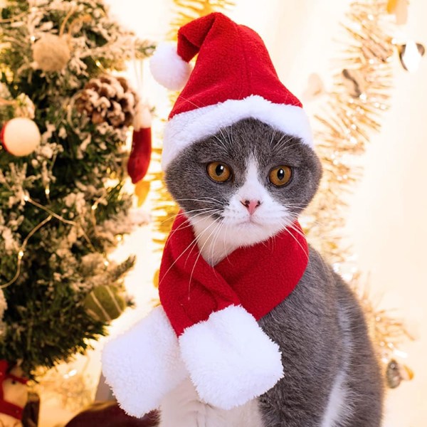 2 stk. Julekostyme for katt, julehatt med skjerf