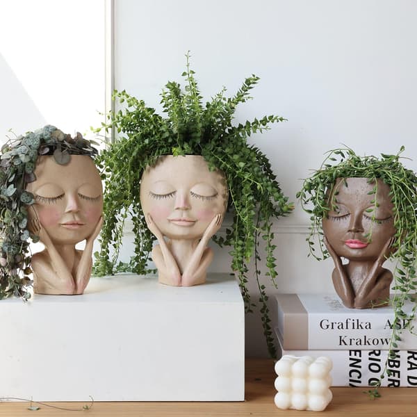 1 Stykke Ansikts Blomsterpotte Hode Blomsterpotte Sukkulenter Flow