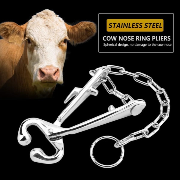 Kvegnese Tang Rustfritt Stål Oks Kveg Nese Ring Tang  DXGHC