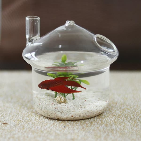 2x Svampformad Hängande Glas Planteringsvas Rumble Fish Tan DXGHC