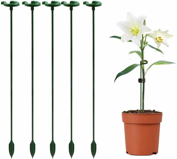 Klätterväxtstöd för Orkidéer - 30cm, med Stödring, He