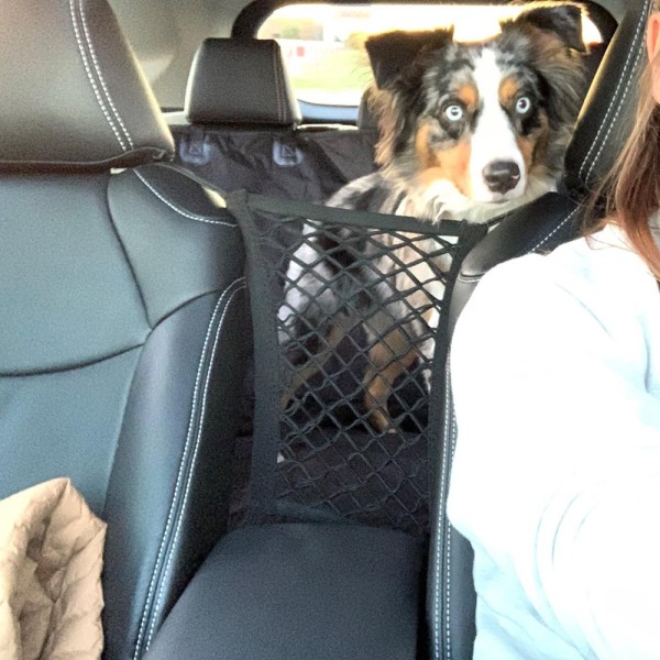 Pet Car Isolation Net Dog Seat Cover Bilskydd Net Car Dog S