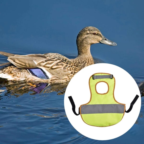 Kyckling-Anka Väst - Reflekterande Väst för Fjäderfä Kycklingkläder H