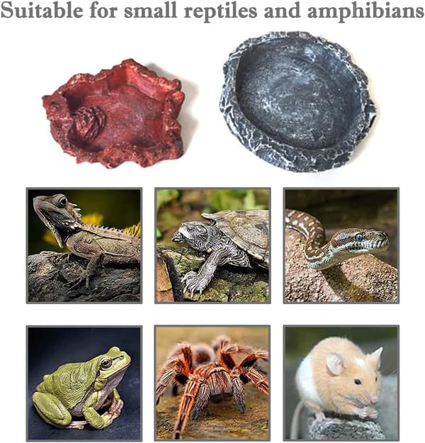 2 stk. Reptilfoderautomater, Reptilskåle, Vandbakker til Firben, T