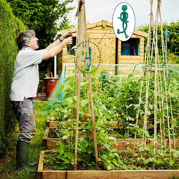 Grønne Bambuspinde Plante Støttepinde Vine Klemmer Vine Støtte