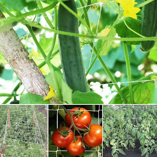 Net til klatreplanter, stort maske-net, til tomater, Gr