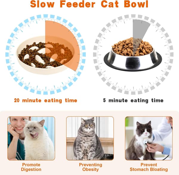 Anti-Gluttony Katt/Liten Hundskål, Långsam Matningsskål, Kattskål, Ea