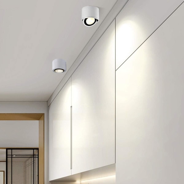 15W Vit Taklampa 1 LED-Spotlight Justerbar Taklampa