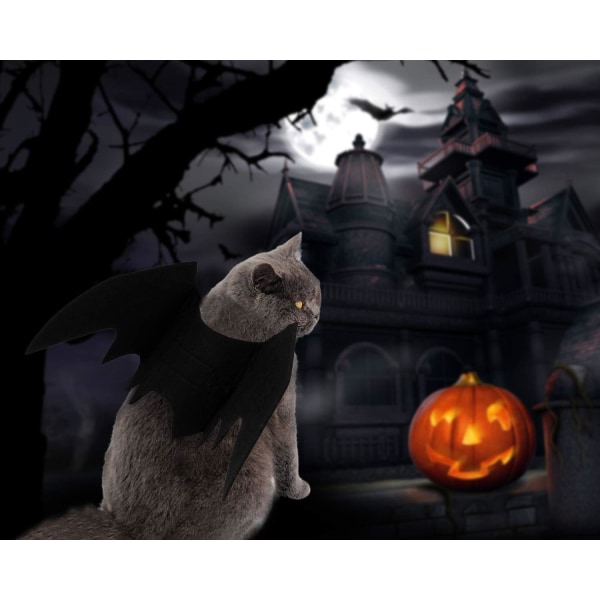 Fladdermusdräkt, kattkostym, kattkrage, Halloween-kostym, hund och