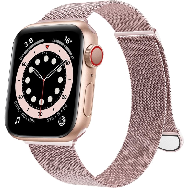 Compatible with Apple Watch Band Series SE 7 6 5 4 3 2 1  41mm 44