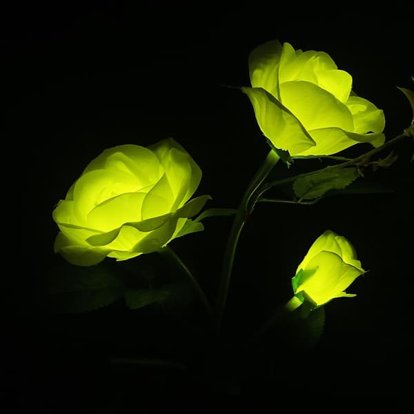 Solcelled Havelyslys Stake, Udendørs Dekorative Solblomster 5 Roser