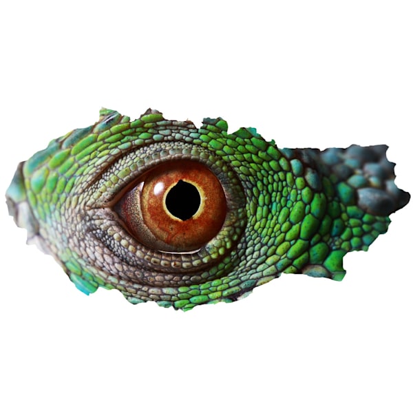 3D Broken Wall Vision Dinosaur Lizard Eyes Veggdekor