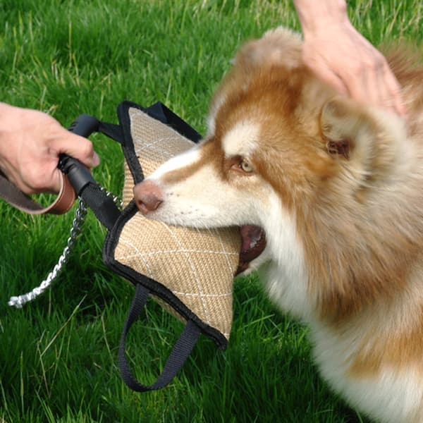 Hållbar Hundträning Bita Tug Kuddeöverdrag med handtag
