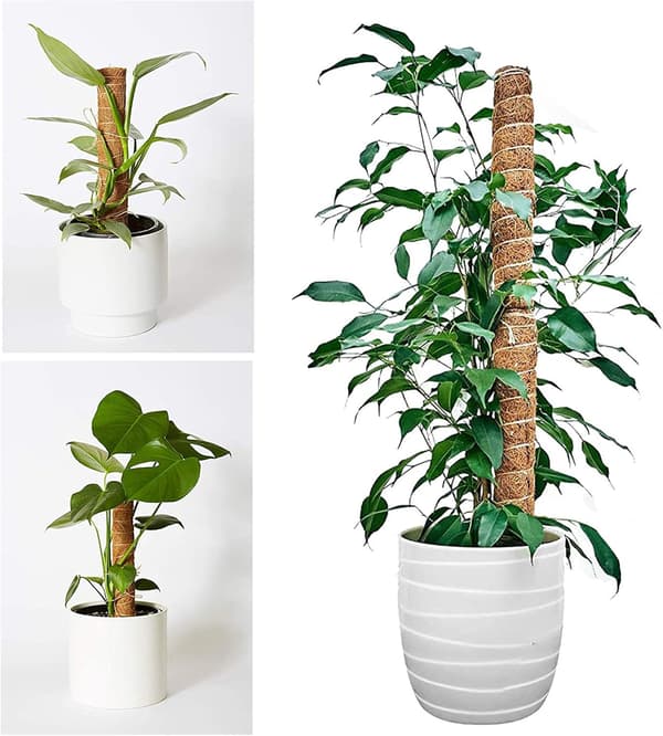 Kasvituki, 2 kpl 41CM Kiipeilykasvien tuki kookostuki