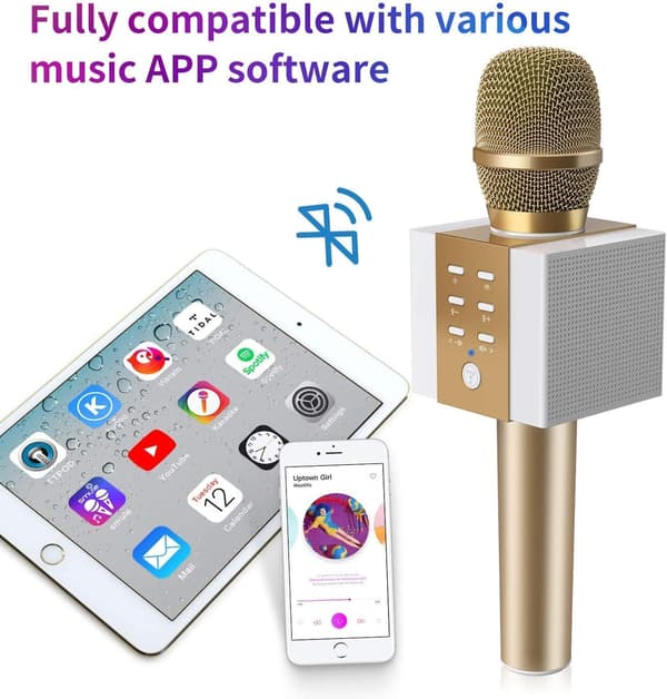 Trådlös Bluetooth Karaoke Mikrofon, 10W Större Volym, Mer Bas