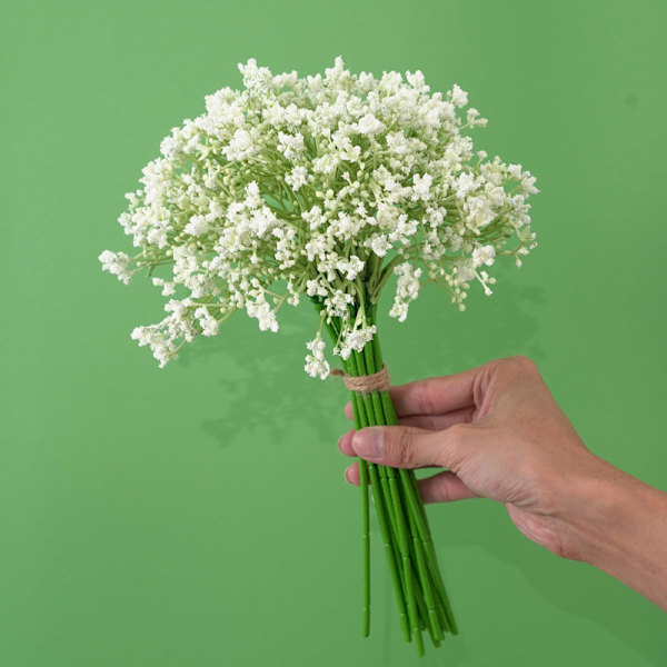 16 Gypsophila Handbrev Bröllop Brud Håller Blommor Hem Liv