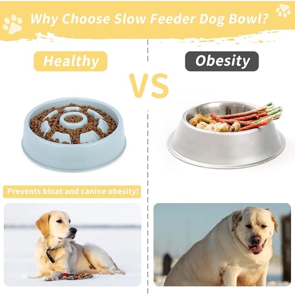 Langsom Foder Skål til Hunde Anti-Glutton Kat Langsom Foder Skål DXGHC
