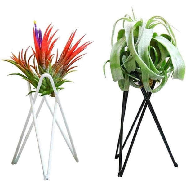 （Hvit）2 stk Luftplante Stativ Tillandsia Base Moderne Geometrisk Metall