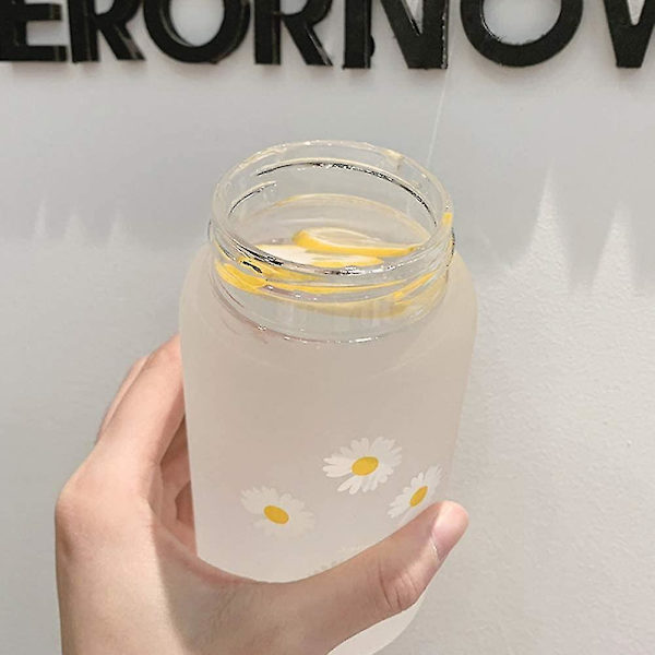 Dewenwils 500ml Liten klar plastvattenflaska med rep, F DXGHC