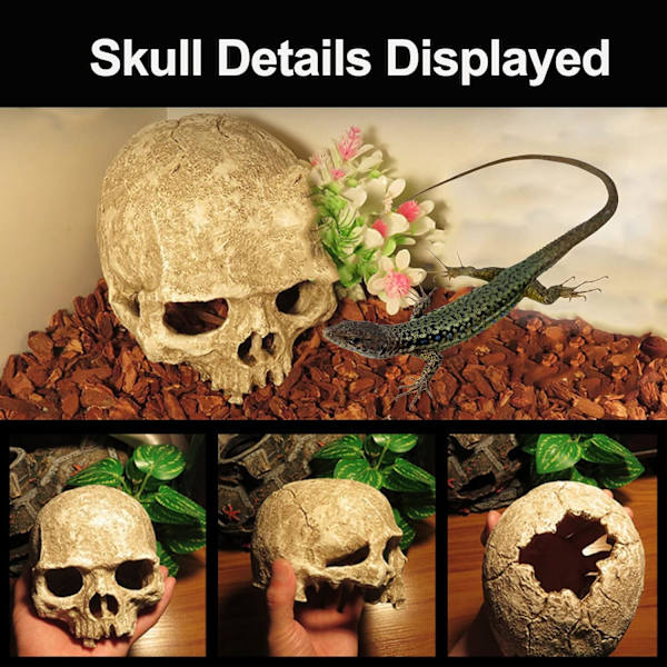 Akvarium Skalle Dekoration, Harpiks Fiskekum Dekorationer Hule Betta Fisk