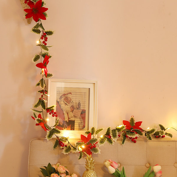 Solenergi Julblommor, Cane, Julstjärna, Europeisk och Am