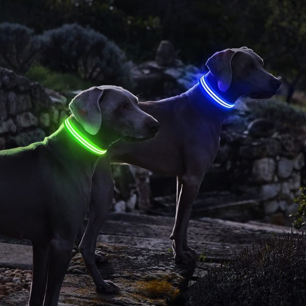 Uppladdningsbart LED-halsband självlysande hundhalsband 100 % vattentätt F