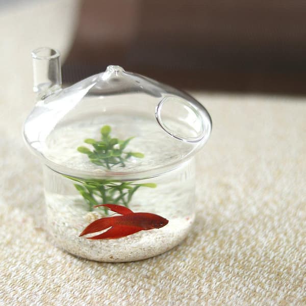 2x Svampformad Hängande Glas Planteringsvas Rumble Fish Tan DXGHC