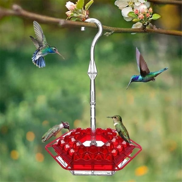 Hummingbird feeder-feeder med 30 feeders til udendørs - hængende B