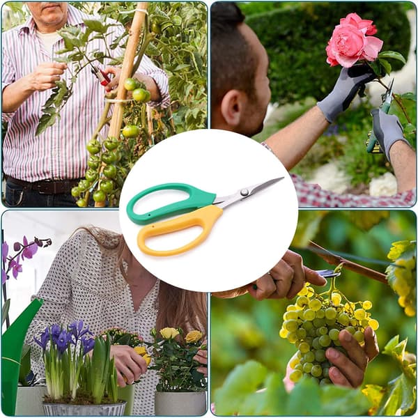 Håndskårne Beskæringssakse Rustfrit Stål Have Bonsai Saks