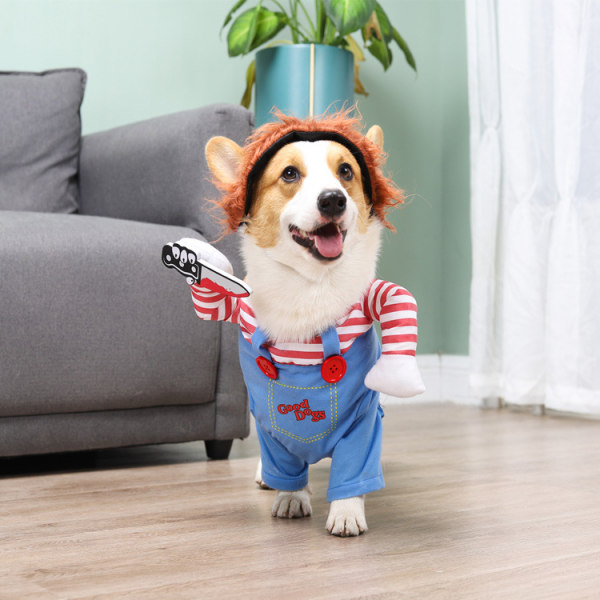 Ny sällskapshund kreativ rolig Teddy hund personlighet kostym chang