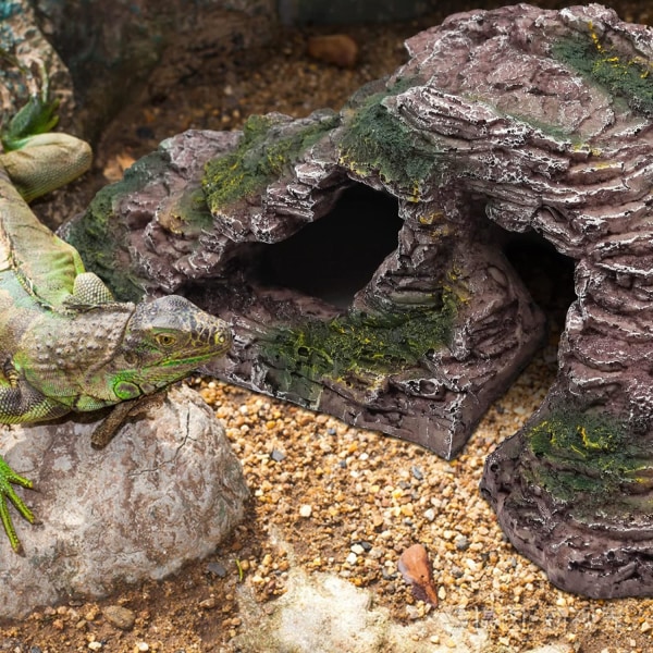Reptilskjulested, skjeggagam, gekko, slange skjulested, repti