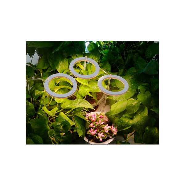 Fuld spektrum LED vækstlys synkronisering dæmpning planter fyld