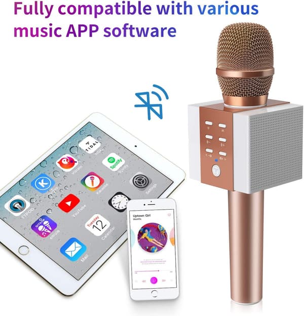 Trådløs Bluetooth Karaoke Mikrofon, 10W Større Lydstyrke, Mere Ba